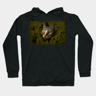 The Stalker Hoodie